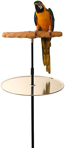 parrot training perch stand with potty tray (t, main product view