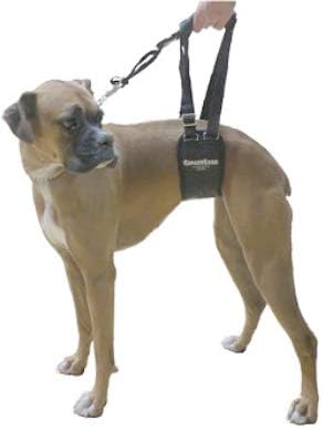 gingerlead® dog rear sling support harness, sm female showing dimensions