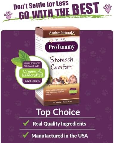 amber naturalz protummy for pets, travel & stomach showing dimensions