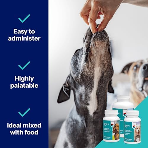 covetrus omega-3 soft gels for large dogs – showing dimensions