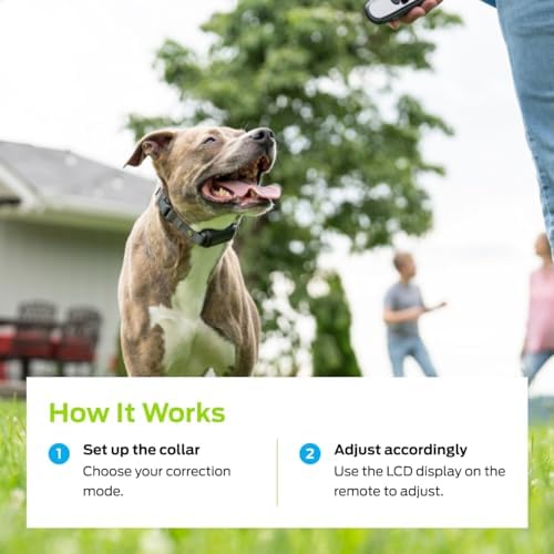 premier pet dog shock collar - safe behavior showing dimensions