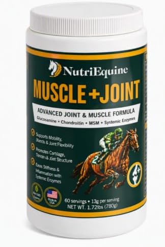 horse joint supplement powder, glucosamine, chondroitin & msm, main product view