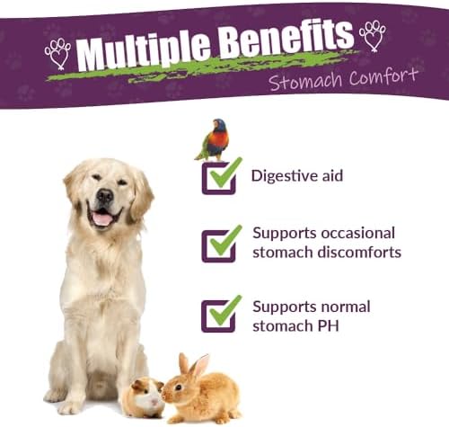 amber naturalz protummy for pets, travel & stomach shown in use