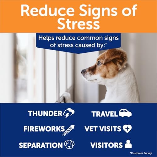 thunderbites hemp calming chews for dogs, 180 count on a desk or shelf