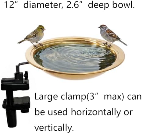 12" diameter 2.6" deep bird bath with 3", close-up detail
