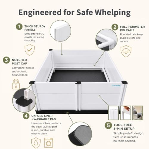 whelping box for dogs & puppies – premium showing dimensions