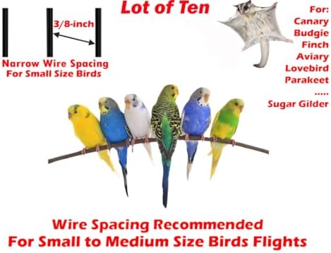 lot of bird flight breeder carrier home cages shown in use