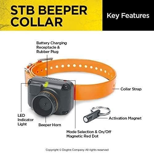 dogtra stb beeper collar hawk version hunting dog, close-up detail