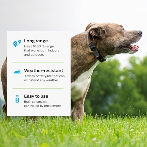 premier pet dog shock collar - safe behavior, close-up detail