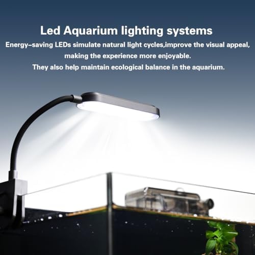 1.8 gallon fish tank with light,filter,lid,landscape accessories showing dimensions