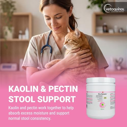 vetoquinol pro-pectalin chewable probiotic for pets, 250 count, close-up detail