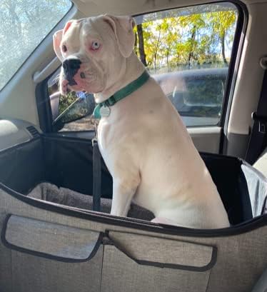 double pet dog booster car seat for large on a desk or shelf
