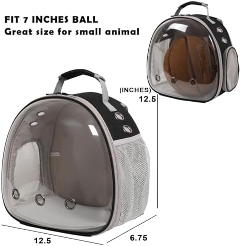 desert iguana backpack carrier,bearded dragon portable backpack carrier shown in use