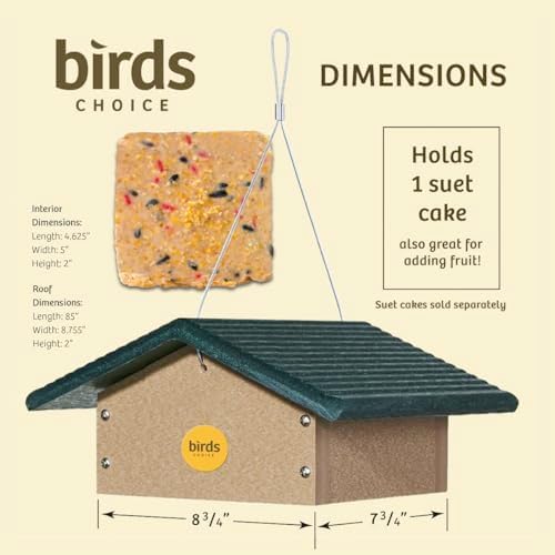 birds choice upside down suet feeder | recycled shown in use