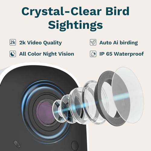 smart bird feeder with camera solar powered 2k shown in use