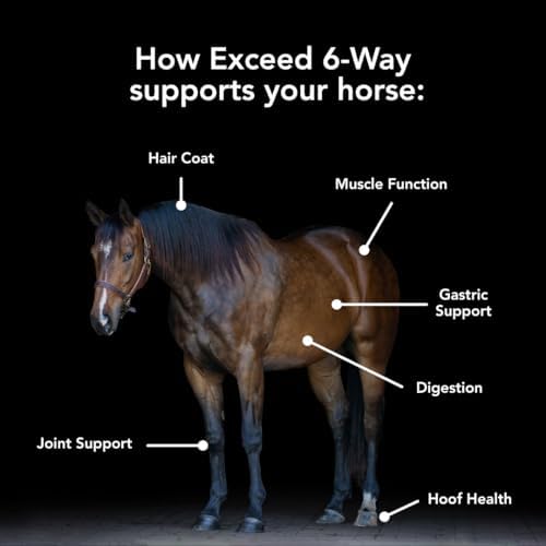 mvp exceed 6-way (16lb) high level performance horse shown in use