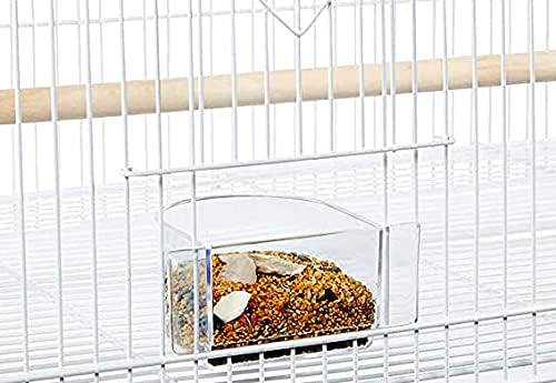 lot of 4 large 30" flight bird breeding, close-up detail