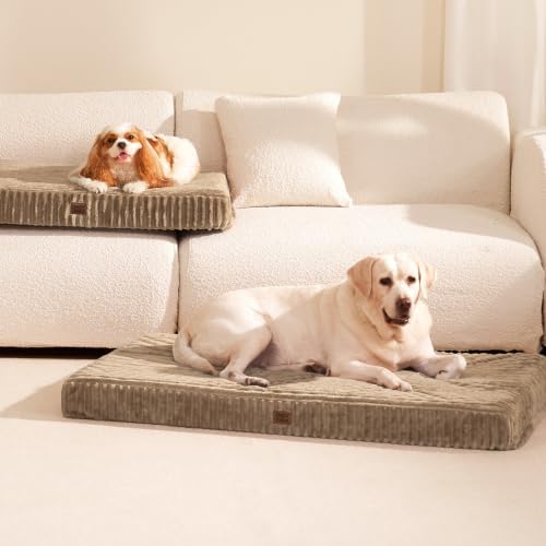 eheyciga orthopedic xl dog beds large sized dog, view 9