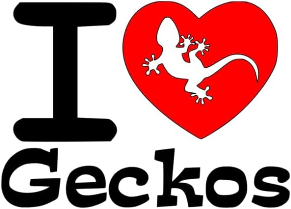 10 gallon aquarium gecko/arboreal conversion kit, close-up detail