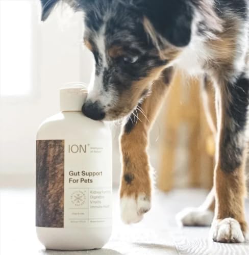 ion* intelligence of nature gut support for pets shown in use