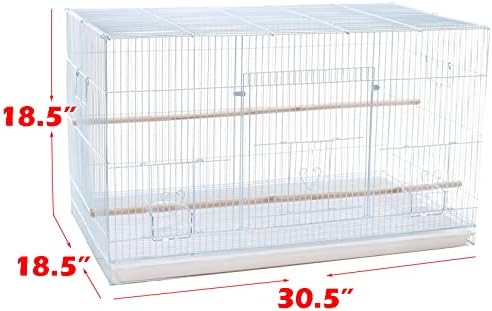 lot of 4 large 30" flight bird breeding shown in use