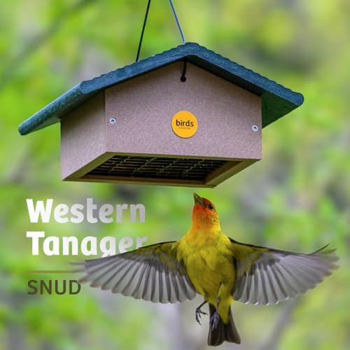 birds choice upside down suet feeder | recycled showing dimensions