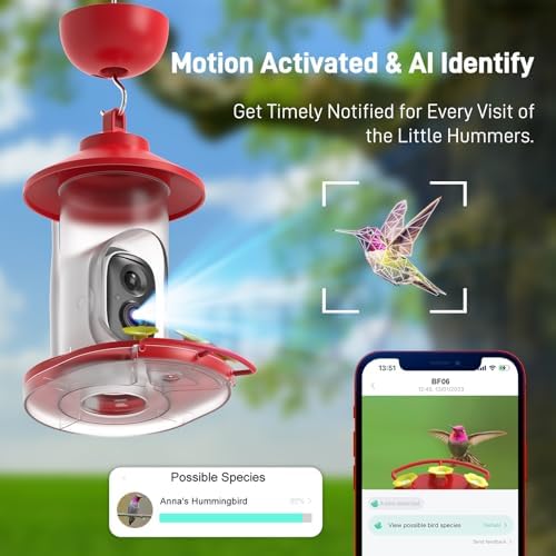 soliom hummingbird feeder with camera, 2k smart ai, close-up detail
