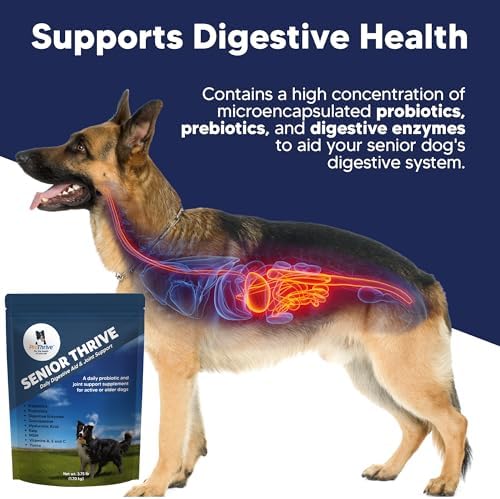 prothrive senior dog digestive & joint supplement showing dimensions