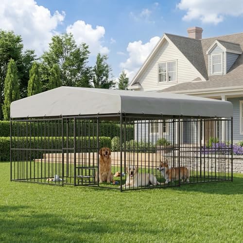 10×10×6 ft outdoor dog kennel with swivel feeder shown in use