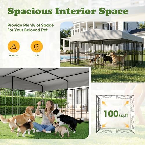 10×10×6 ft outdoor dog kennel with swivel feeder showing dimensions