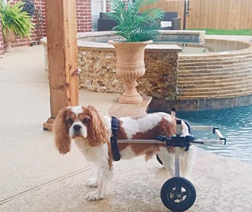 dog wheelchair back legs, adjustable, custom made in showing dimensions