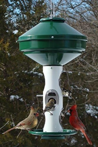 varicraft av-2m avian mixed seed feeder, close-up detail