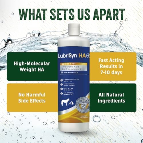 lubrisyn ha hip & joint supplement plus msm, side view