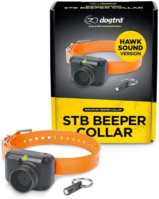 dogtra stb beeper collar hawk version hunting dog, main product view