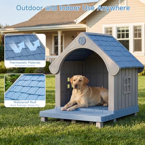 large dog house outdoor waterproof with elevated floor shown in use