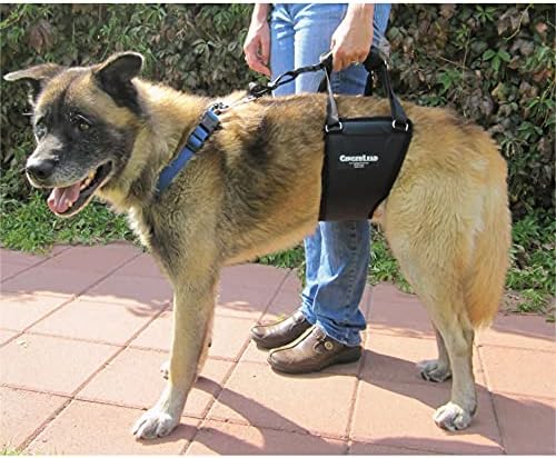 gingerlead® k9 support harness, rear end lift sling showing dimensions