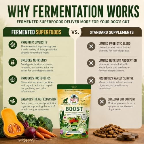 boost fermented prebiotic & probiotics for dogs gut, side view