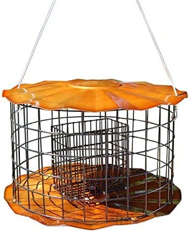 erva starling-proof barrier guard feeder with double suet shown in use