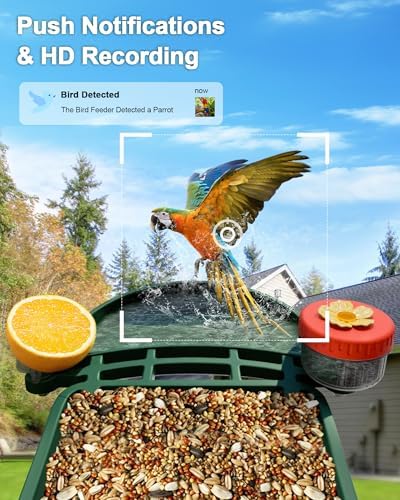 visiogear 2-in-1 smart wild bird feeder & bath, side view