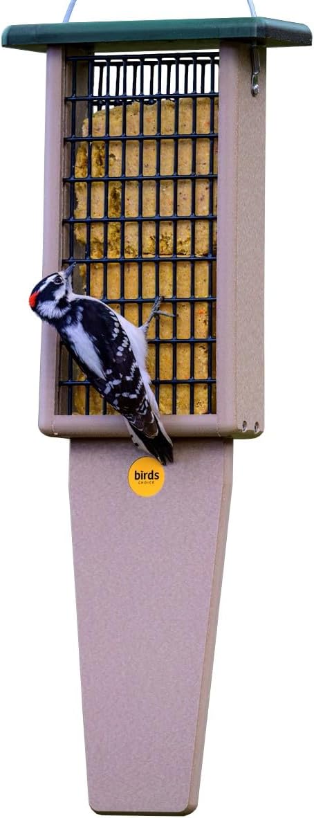 birds choice pileated 2 suet cake feeder with, main product view