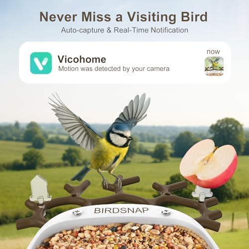 smart bird feeder with camera solar powered 2k, close-up detail