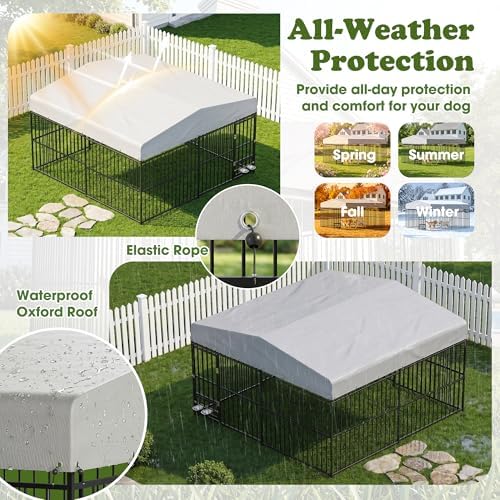 10x10x6 ft dog kennel outdoor for large dogs showing dimensions