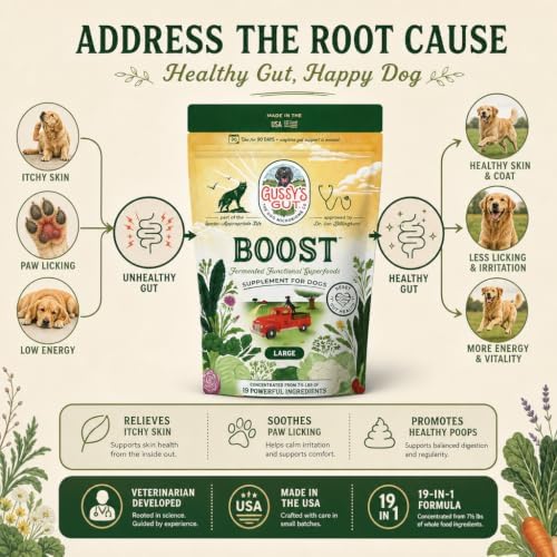 boost fermented prebiotic & probiotics for dogs gut, close-up detail