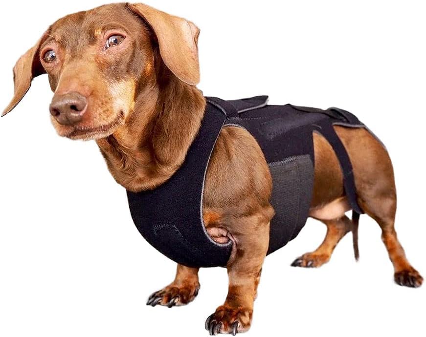 dog back brace for ivdd - orthopedic support, main product view