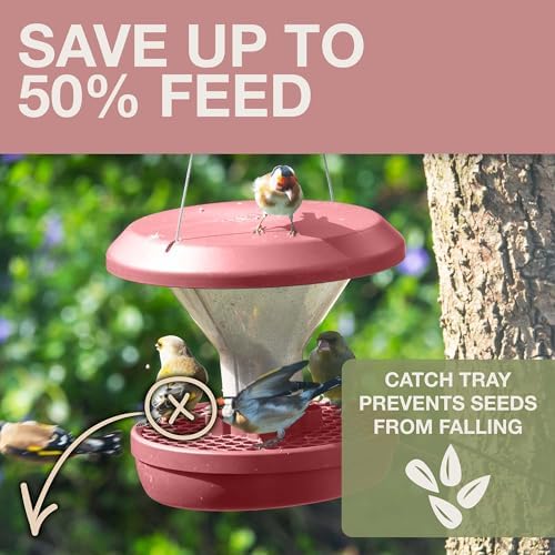 swissinno bird feeders - no mess hanging bird, close-up detail