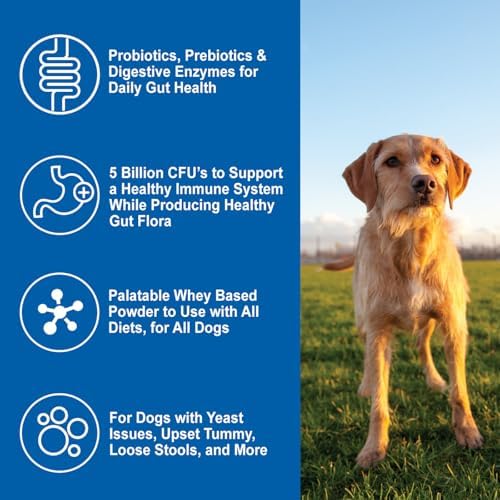 dogzymes daily balance canine supplement by nature’s farmacy, close-up detail