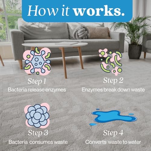 eco strong pet stain and odor remover showing dimensions