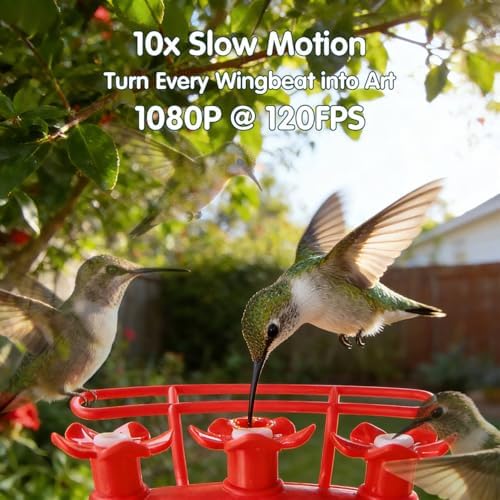 4k hummingbird feeder with camera,no subscription,solar powered, close-up detail