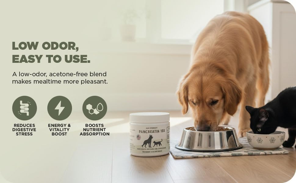 pancreatin 10x - pancreatic enzymes for dogs and, side view