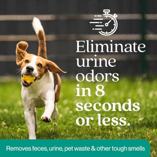 eco strong outdoor odor eliminator | outside dog, close-up detail